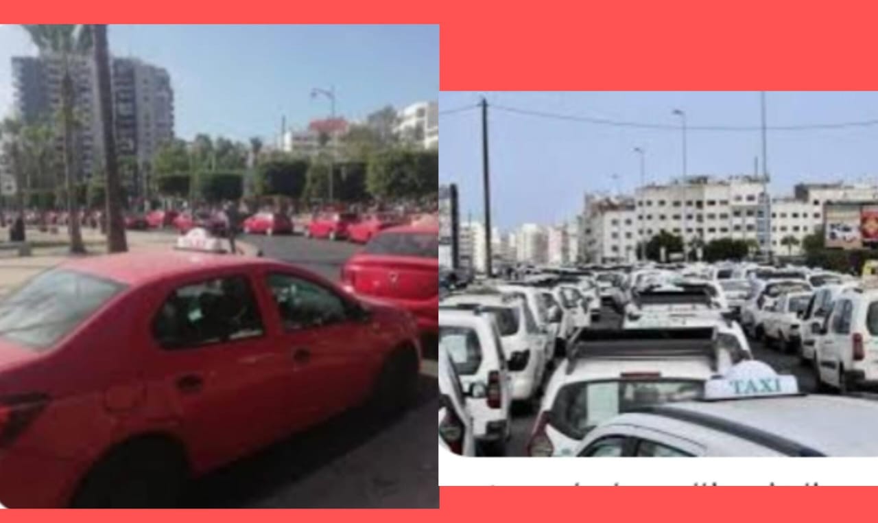 قررت السلطات المحلية بمدينة الدار البيضاء منع الوقفة الاحتجاجية التي كان من المقرر تنظيمها يوم الخميس 12 دجنبر 2024 من قبل سائقي سيارات الأجرة بشارع الجيش الملكي، أحد أهم المحاور الحيوية في المدينة