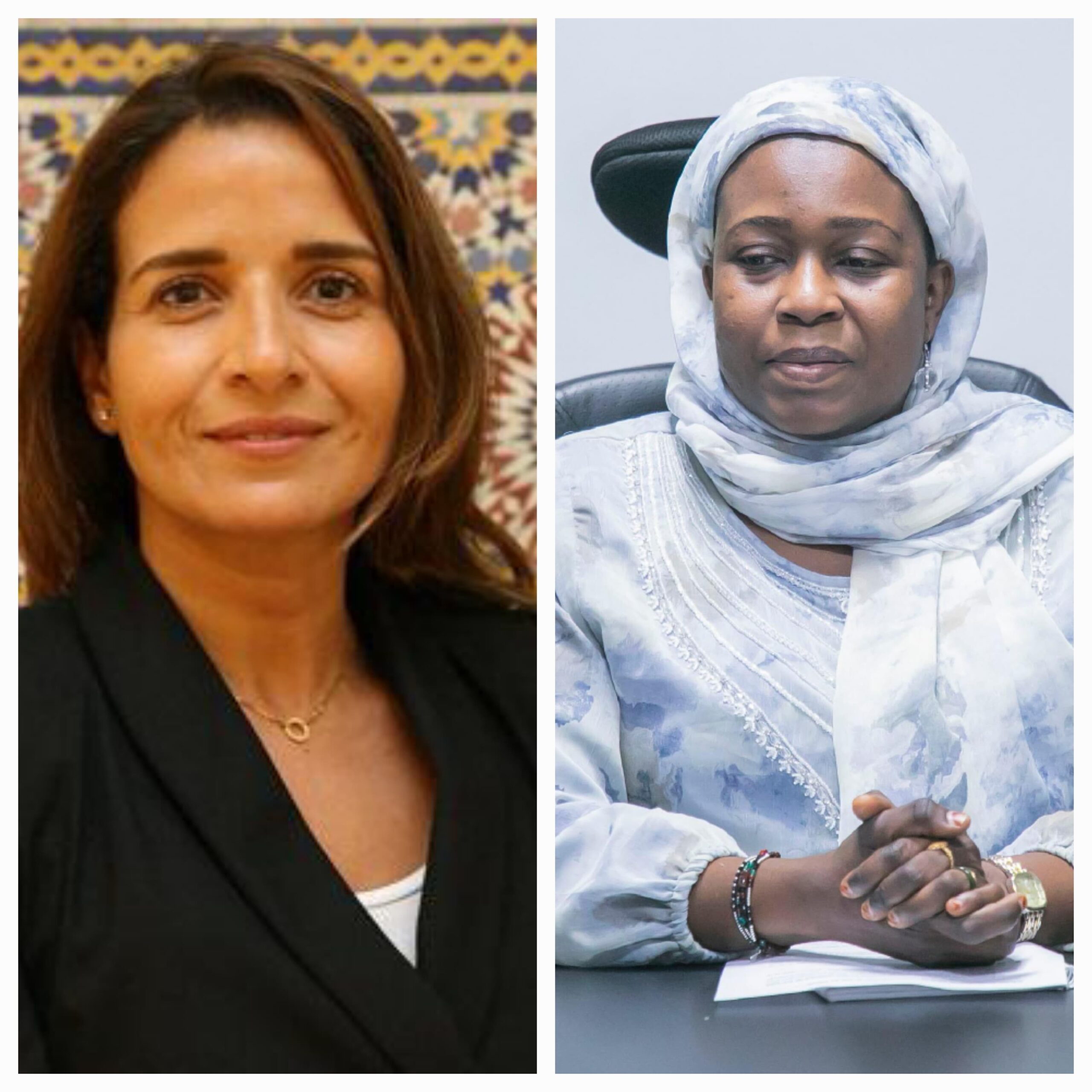 مباحثات بين بنعلي ونظيرتها المالية تفتح آفاق شراكات استراتيجية في مجال البيئة والتنمية المستدامة بين الرباط وباماكو