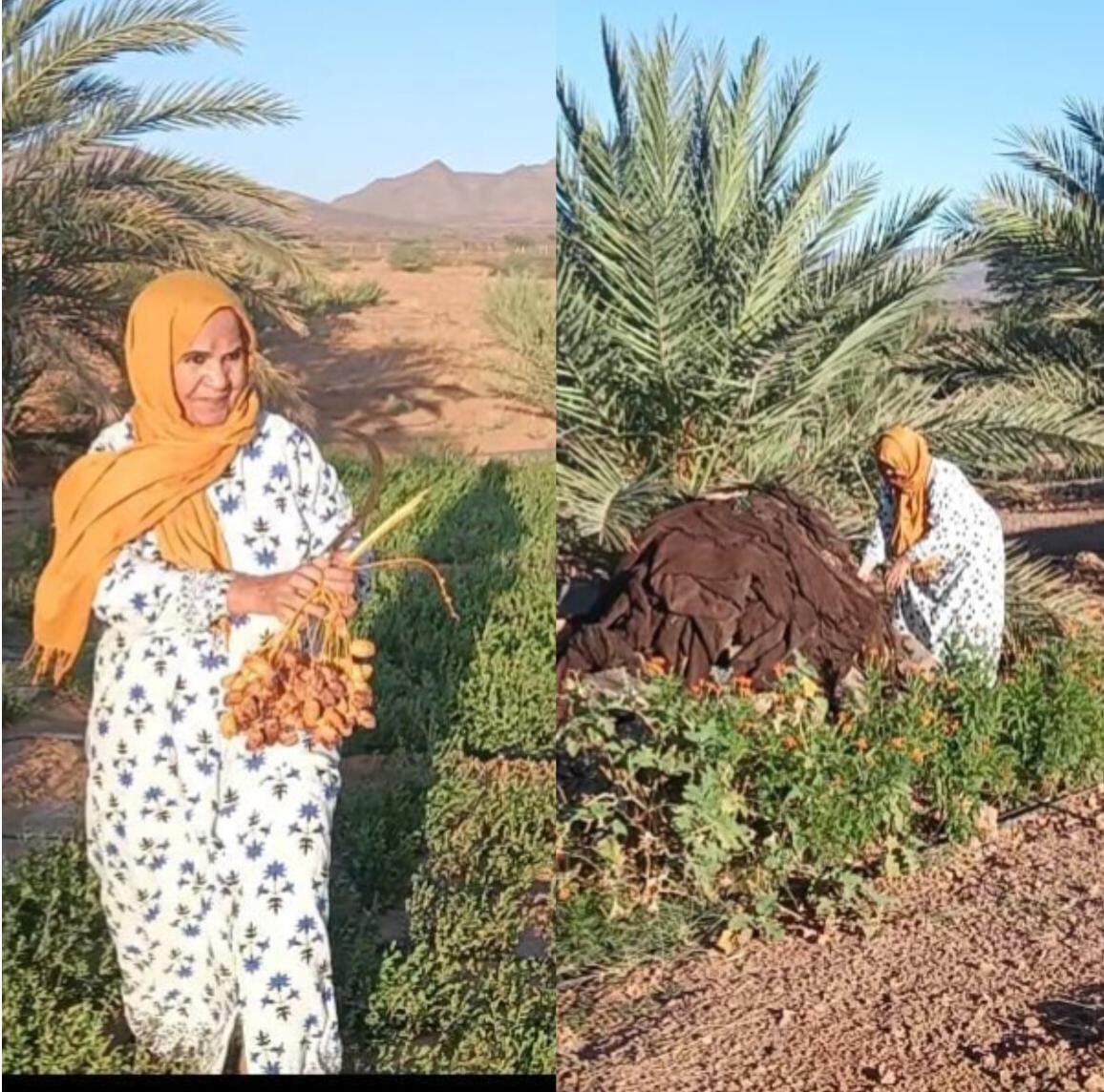 لالة الزهراء الترارزي.. زهرة الصحراء التي لا تخاف الليل إعداد: فتيحة شهاب