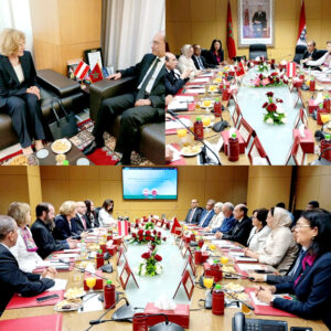 المملكة المغربية رئاسة النيابة العامة  بلاغ صحفي